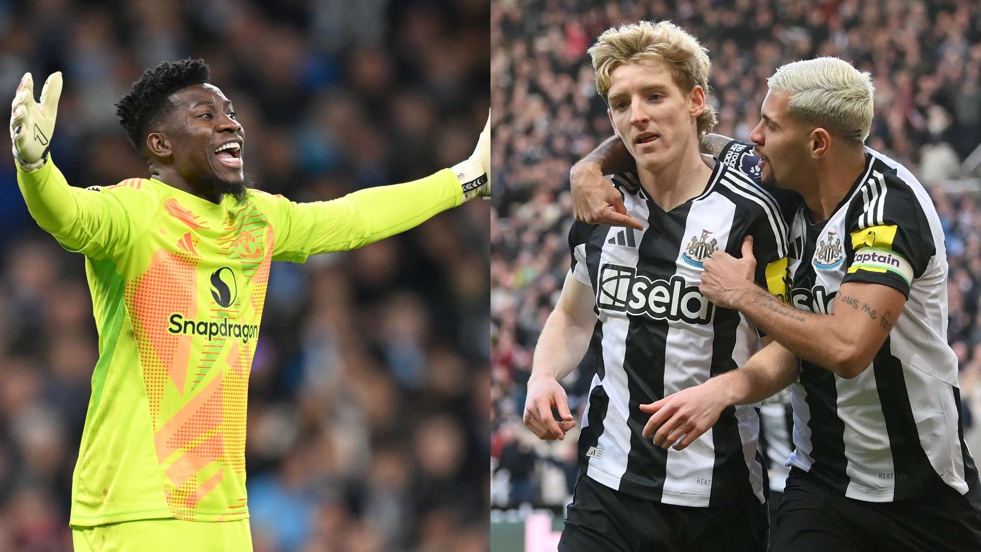 他們在各自 他們在各自