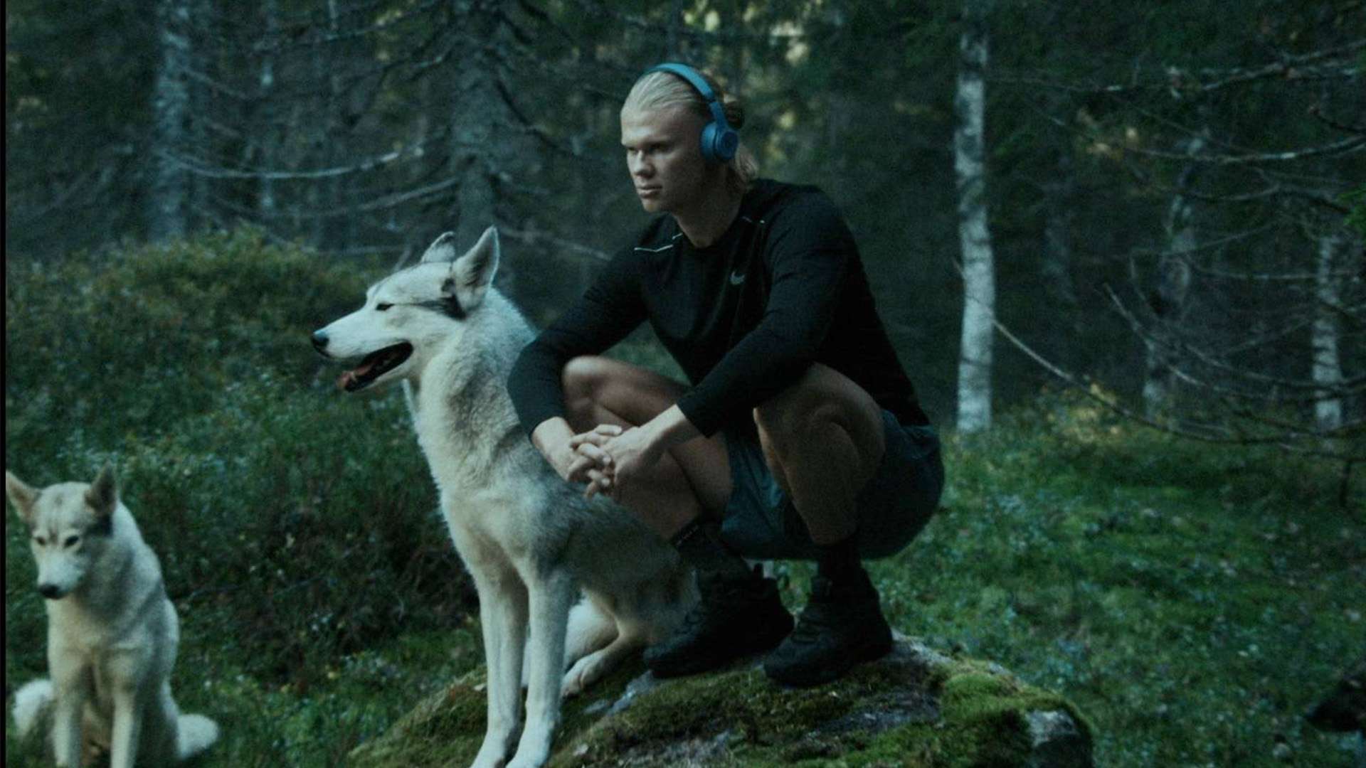 运动员的心 运动员的心